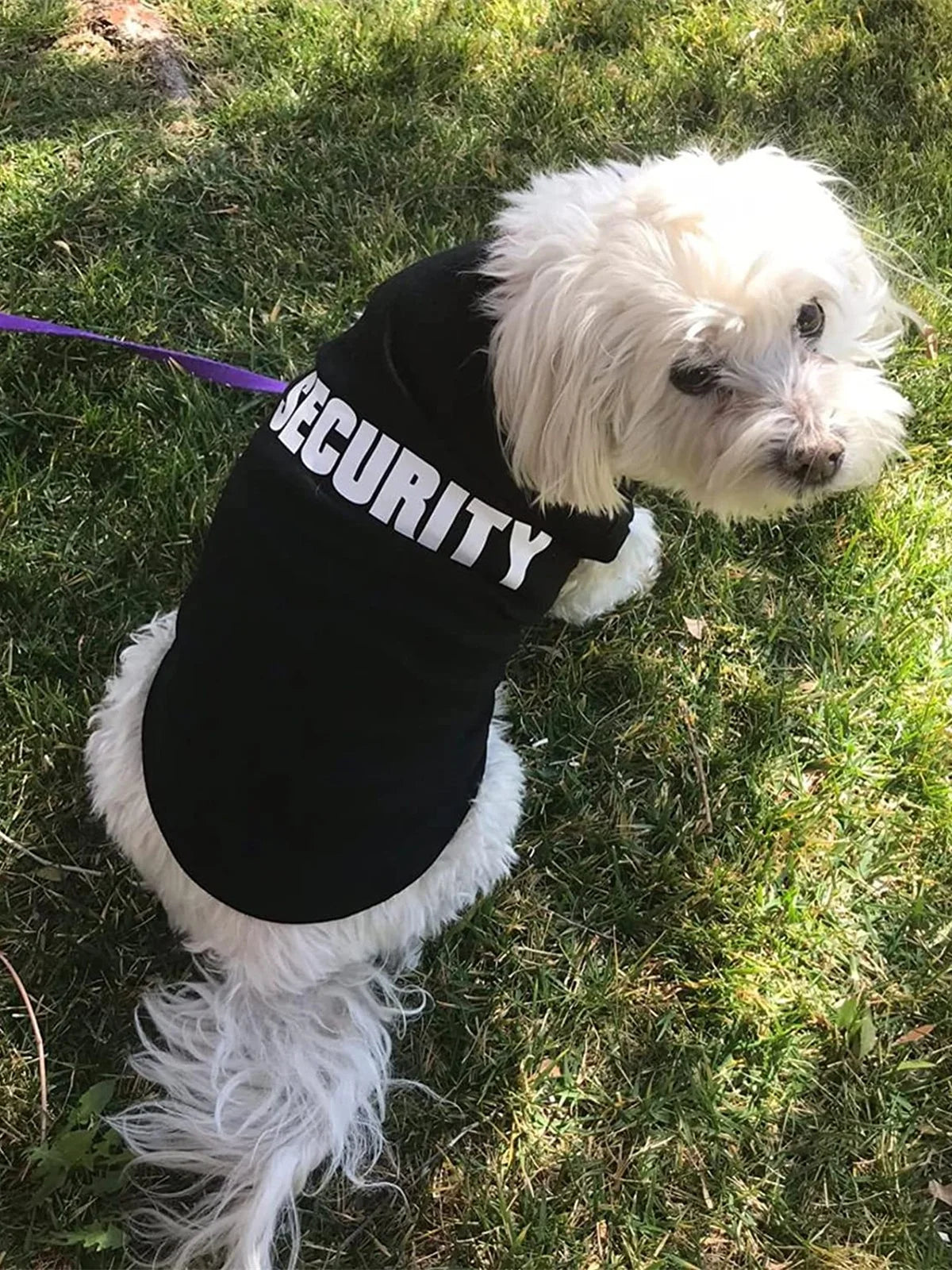 Security Clothing for Small Dogs Pets T-shirt