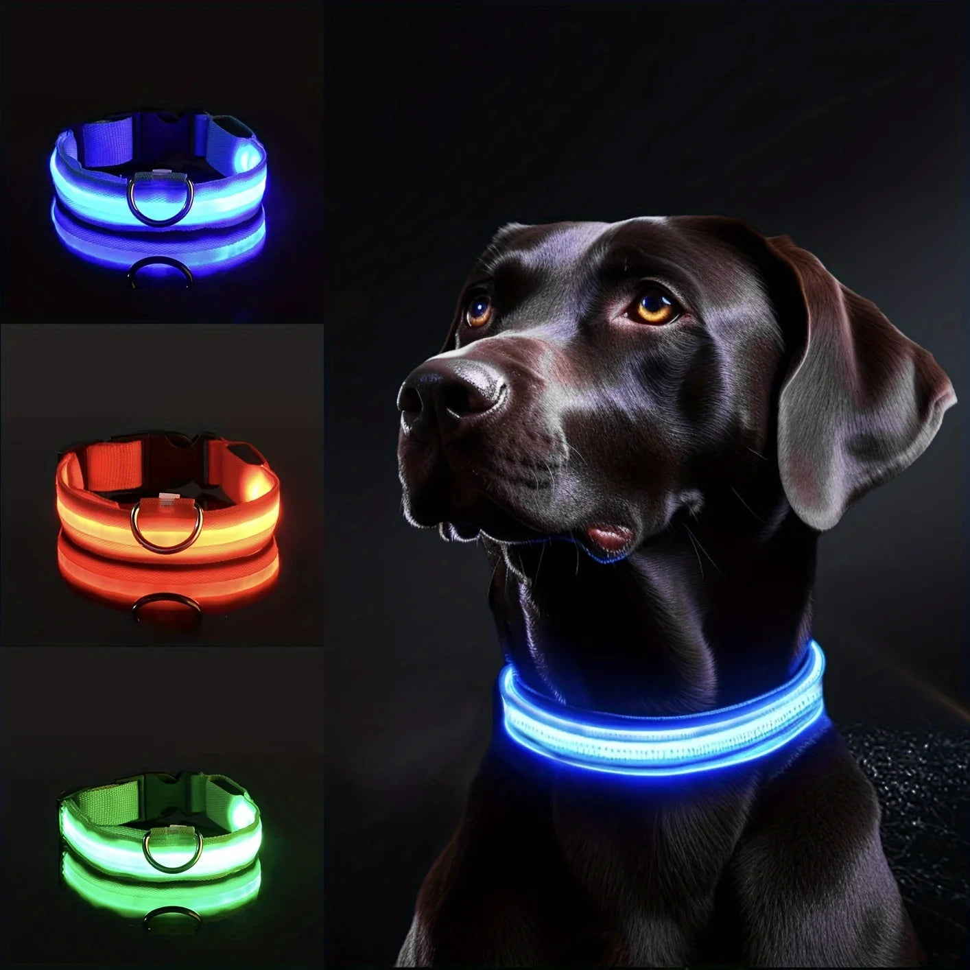 Reflective LED Dog Collar for Night Safety - Battery-Powered, Ideal for Small/Medium Breeds
