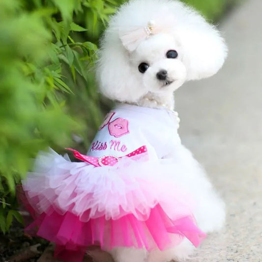 Beautiful Dog Dress For Small Dogs