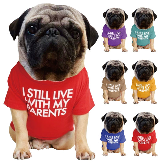 Dog Starling Pet Clothes round Neck T-shirt Jarre Aero Bull