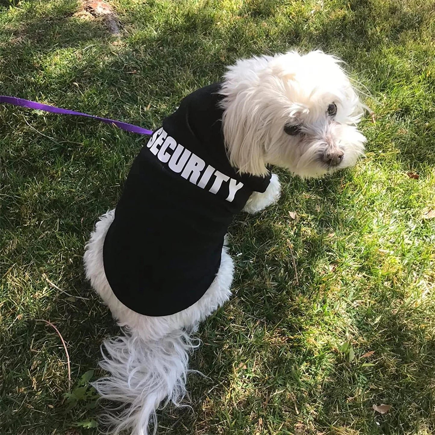 Security Clothing for Small Dogs Pets T-shirt