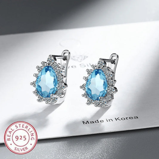 Exquisite 925 Sterling Silver Earrings For Women
