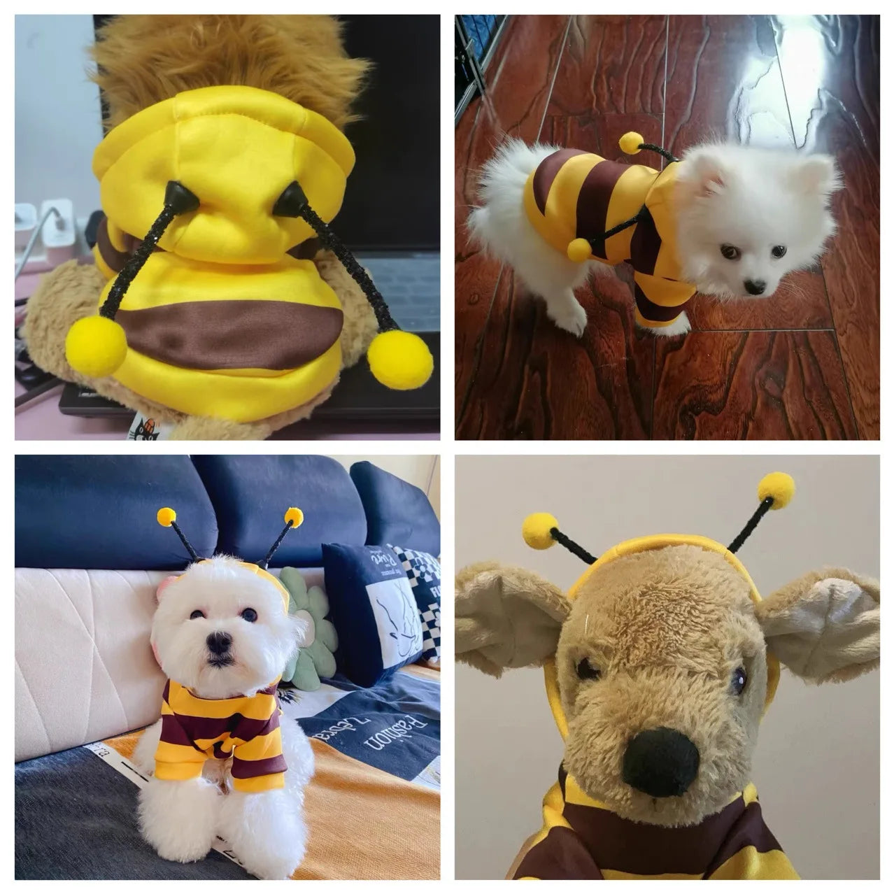 1PCS Dog Clothes For Autumn And Winter Hoodie Bee Suit