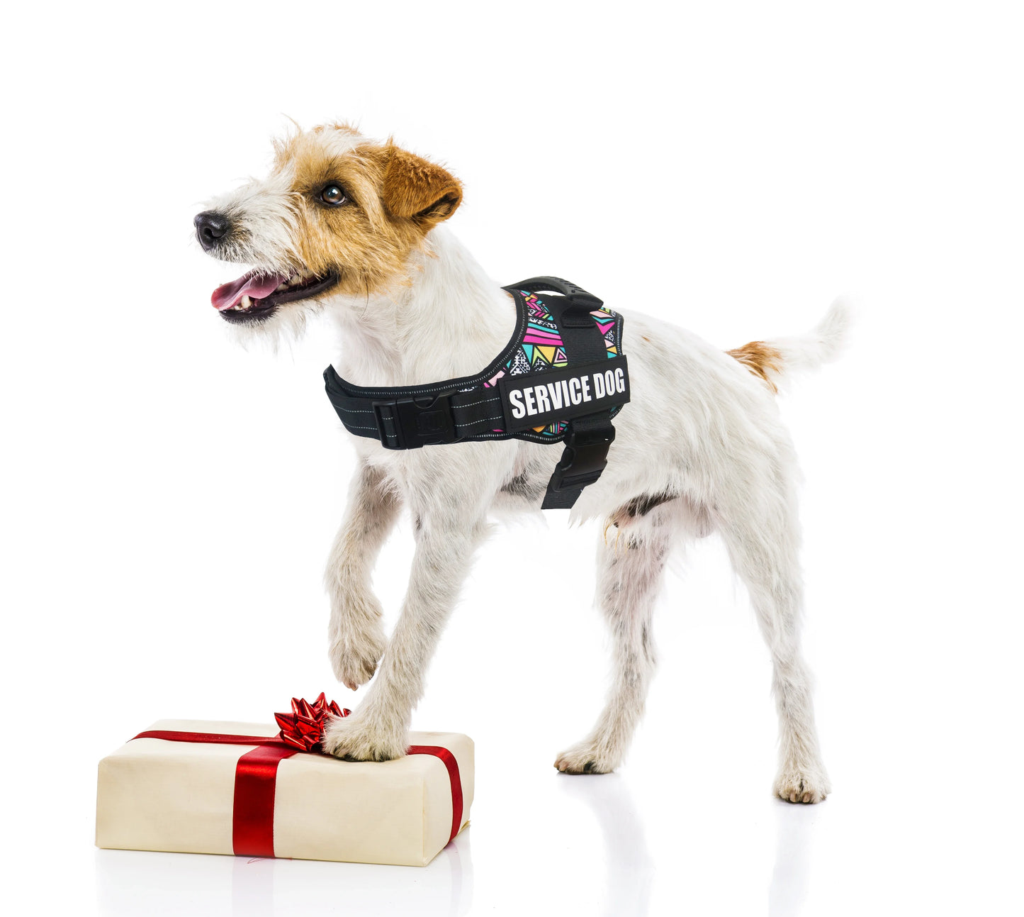 Pet Dog Harness Service Dog And Emotional Support Harness Vest With Removable Reflective Patches For Large Medium Dogs