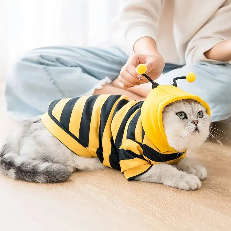 1PCS Dog Clothes For Autumn And Winter Hoodie Bee Suit