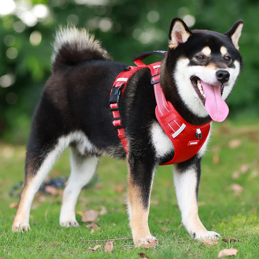 Reflective Dog Chest Strap Pet Leash Vest