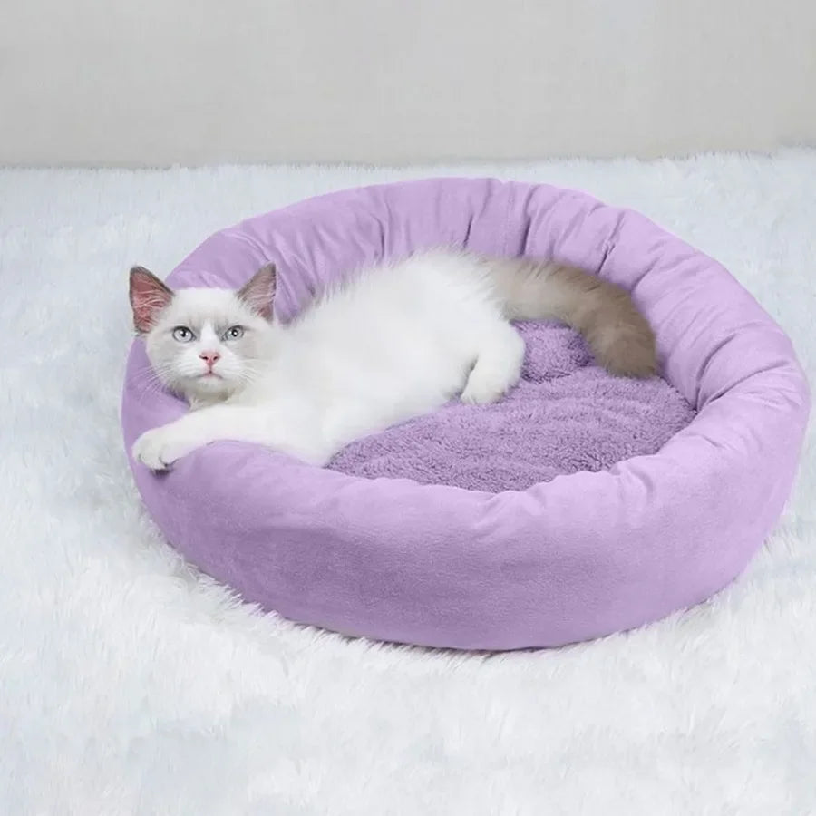 Cat Cave Bed for Living Room SofaStyle Couch Design with Removable Cushion
