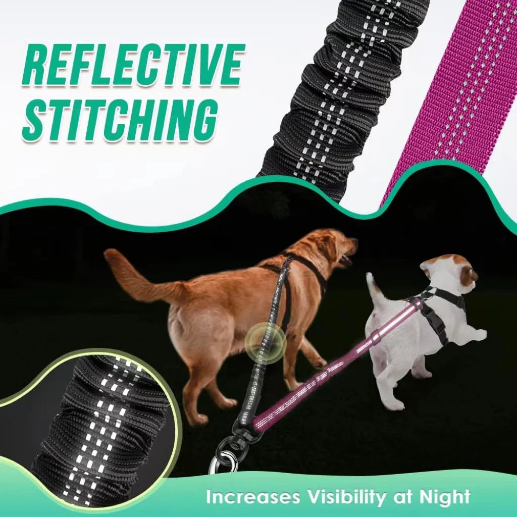 1.6ft Long Dual Dog Leash Attachment - Double Leashes for Training
