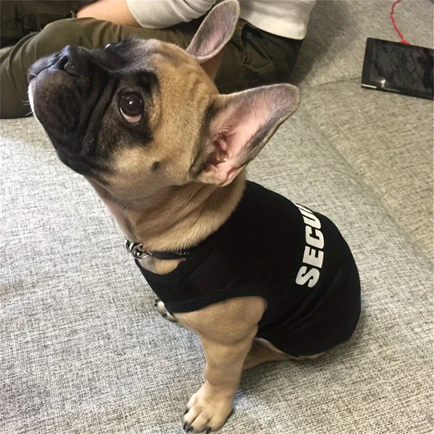 Security Clothing for Small Dogs Pets T-shirt