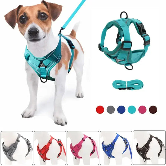 No Pull Dog Harness and Leash Set Adjustable Pet Harness Vest For Small Dogs