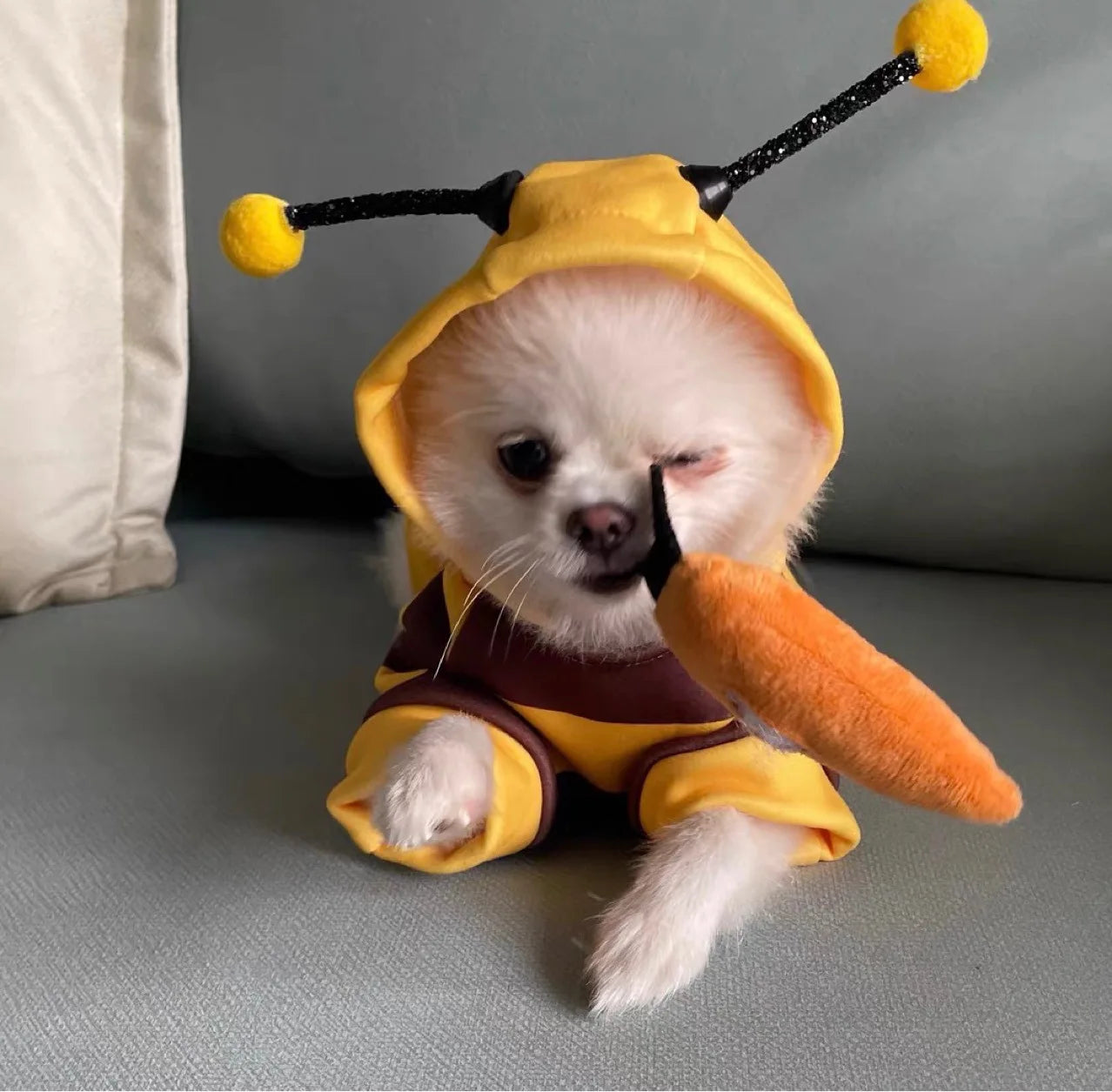 1PCS Dog Clothes For Autumn And Winter Hoodie Bee Suit